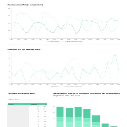 report seo local google business profile