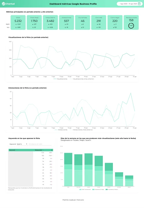 report seo local google business profile