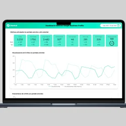 template looker studio one page google business profile