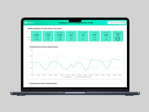template looker studio one page google business profile