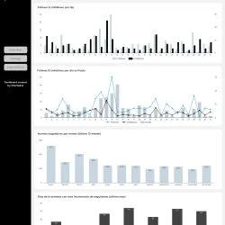 report looker studio twitter (X) template dashboard