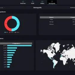 TikTok report template looker studio