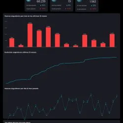 Descargable_Reporte_Master_Social_-_IG,_FB,_X,_LK,_TK (1)_compressed (1)_page-0004 reporte looker studio redes sociales completo