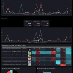 Descargable_Reporte_Master_Social_-_IG,_FB,_X,_LK,_TK (1)_compressed (1)_page-0005 reporte looker studio redes sociales completo