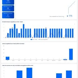 Descargable_Reporte_Master_Social_-_IG,_FB,_X,_LK,_TK (1)_compressed (1)_page-0007 reporte looker studio redes sociales completo