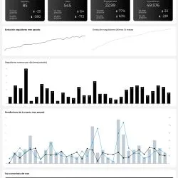Descargable_Reporte_Master_Social_-_IG,_FB,_X,_LK,_TK (1)_compressed (1)_page-0008 reporte looker studio redes sociales completo