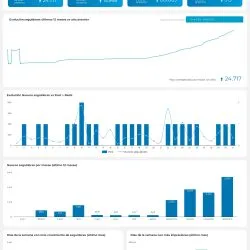 Descargable_Reporte_Master_Social_-_IG,_FB,_X,_LK,_TK (1)_compressed (1)_page-0010 reporte looker studio redes sociales completo