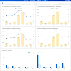 Preview_-_Meta_Ads_Report_-_Facebook_&_Instagram_Campaigns_-_Metricool_Data (1)_compressed-4 report looker studio meta ads - facebook & instagram