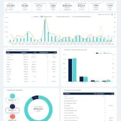 template looker studio woocommerce ecommerce