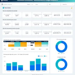 template looker studio woocommerce ecommerce
