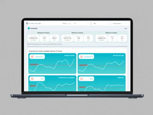 template looker studio woocommerce ecommerce