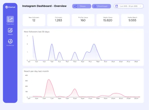 DEMO_Instagram_Organic_report-1