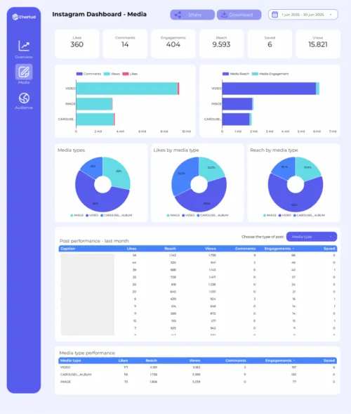 DEMO_Instagram_Organic_report-2