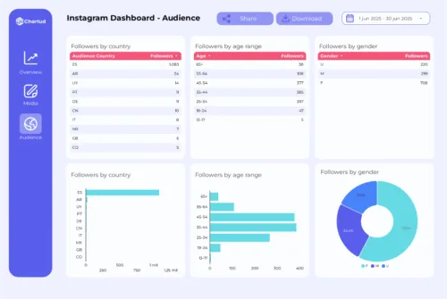 DEMO_Instagram_Organic_report-3
